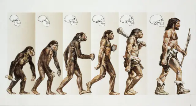 103586103 Gettyimages 122223741.jpg