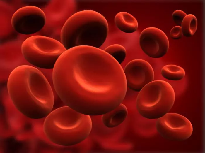 A152fe9bffa2f197620d8c6521b18c81