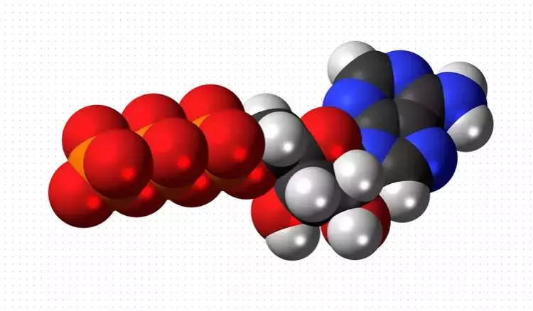 Syntez Atf Shho Cze Take Funkcziyi