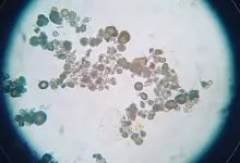 Img 20210317 000457 092