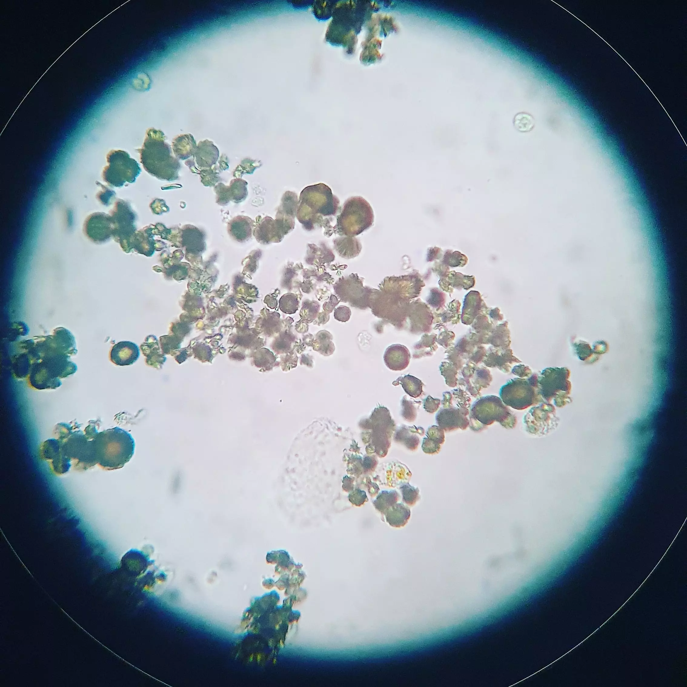 Img 20210317 000457 092