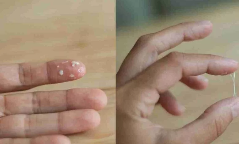 48b4f511ea5b1a2f4d72c0de05672fa6 Large