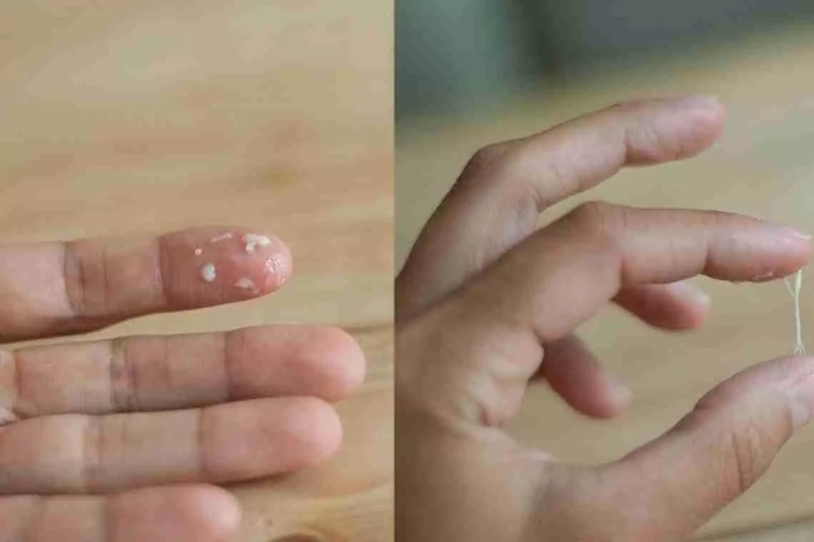 48b4f511ea5b1a2f4d72c0de05672fa6 Large