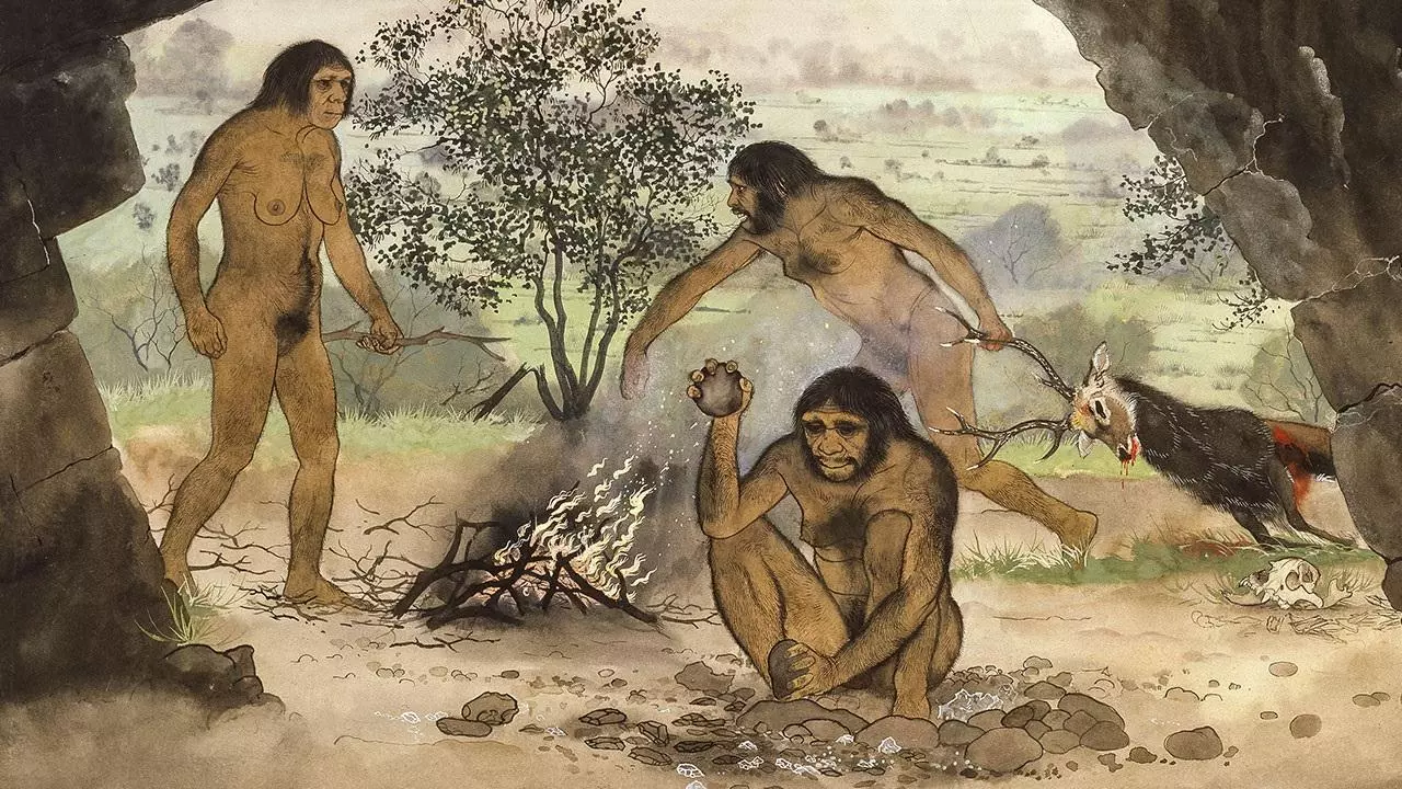 8222c79fc7b540e4281f3cf232af5091