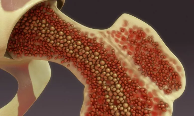 Depositphotos 121758566 L 2015 1024x576 1