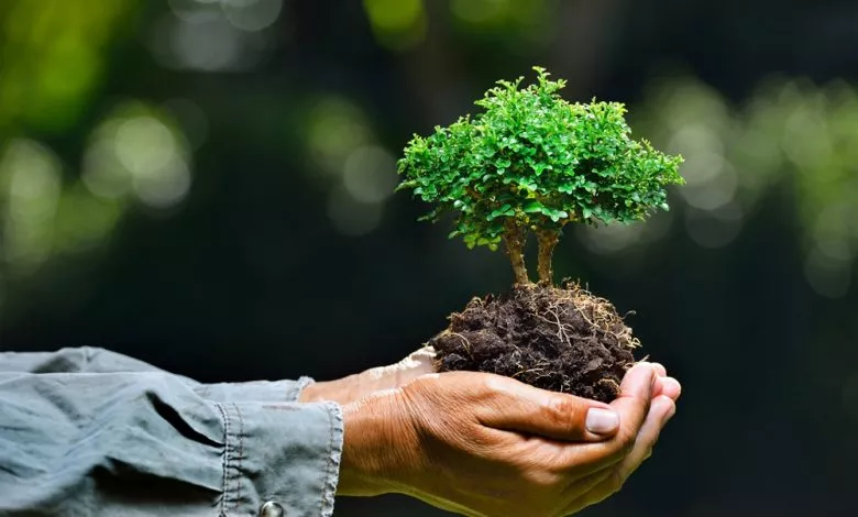 Ekosistem Kavrami Nedir