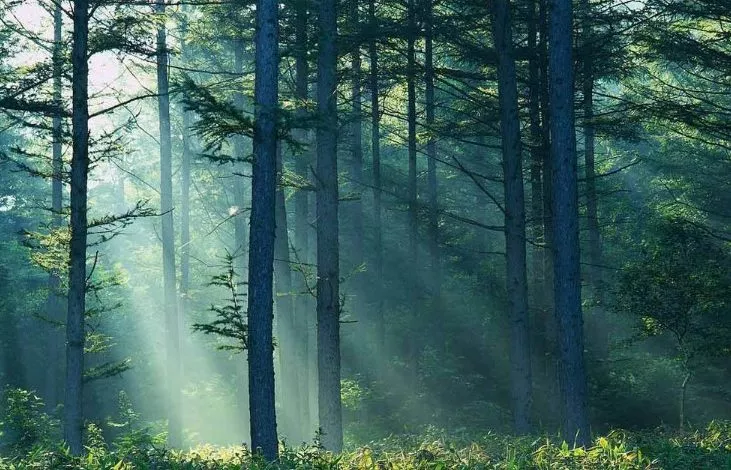 Shho Take Pryrodna Zona