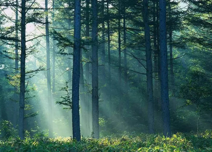 Shho Take Pryrodna Zona