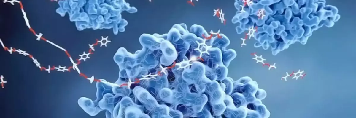 Zachem Nuzhny Fermenty Dlya Organizma 80871225886342